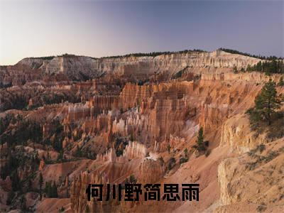 何川野简思雨（简思雨何川野）全文免费阅读无弹窗大结局_何川野简思雨全文阅读完整版_笔趣阁（简思雨何川野）