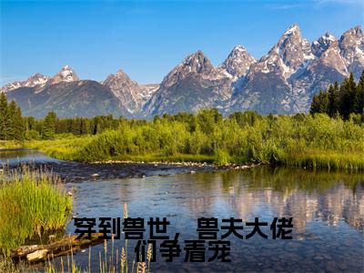 穿到兽世，兽夫大佬们争着宠（冷月汐）全文小说-穿到兽世，兽夫大佬们争着宠小说最新章节免费阅读（免费）+（全文）