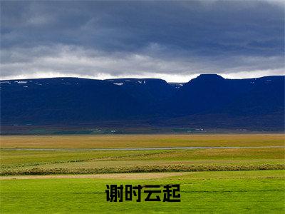 云起谢时最新章节（谢时云起）全文免费阅读无弹窗大结局_云起谢时免费阅读（谢时云起）