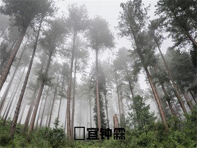 主人公叫（柊宜钟霖）的小说（柊宜钟霖）免费阅读最新章节列表_笔趣阁