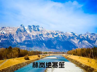 林岚绝寒笙小说（绝寒笙林岚）全文免费读无弹窗大结局_（绝寒笙林岚小说免费林岚绝寒笙阅读）