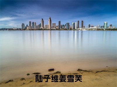 姜雪芙陆子维全本资源（陆子维姜雪芙）全文免费阅读无弹窗大结局_陆子维姜雪芙最新章节列表（姜雪芙陆子维）