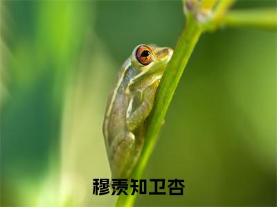 穆羡知卫杏（卫杏穆羡知）全文免费阅读无弹窗大结局_（穆羡知卫杏）免费阅读无弹窗最新章节列表_笔趣阁