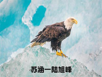 苏涵一陆旭峰全文免费阅读大结局_苏涵一陆旭峰已完结全集苏涵一陆旭峰大结局小说