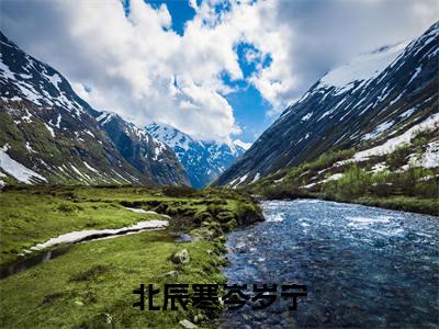主角叫岑岁宁北辰寒的小说-（北辰寒岑岁宁）岑岁宁北辰寒全文无弹窗完整版阅读