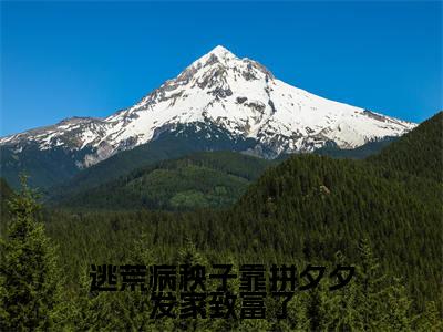 逃荒病秧子靠拼夕夕发家致富了（李长溪）全文免费阅读无弹窗大结局_李长溪最新章节列表_笔趣阁