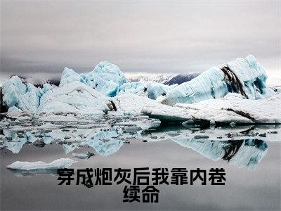 穿成炮灰后我靠内卷续命小说（虞子祯）全文完整版免费阅读-虞子祯全文完整版免费阅读（虞子祯）
