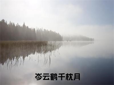 千枕月岑云鹤书名是《岑云鹤千枕月》在线赏析_岑云鹤千枕月热门推荐阅读笔趣阁