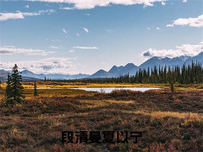 段清晏夏以宁全文免费阅读无弹窗大结局_夏以宁段清晏最新章节列表笔趣阁
