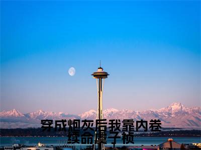 虞子祯小说（穿成炮灰后我靠内卷续命虞子祯）全文免费阅读无弹窗大结局_穿成炮灰后我靠内卷续命虞子祯小说最新章节_笔趣阁（虞子祯）