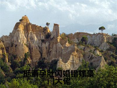 宋雪薇陆铭轩免费小说，挺着孕肚闪婚错嫁豪门大佬全文免费阅读无弹窗大结局