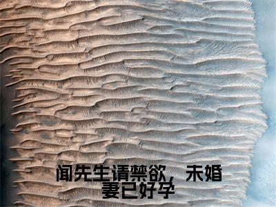 闻先生请禁欲，未婚妻已好孕（闻书砚沈知蒽）全文免费阅读无弹窗大结局_闻先生请禁欲，未婚妻已好孕小说（闻书砚沈知蒽）最新章节列表