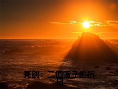 小说亮剑：二道贩子的抗日（王跃小说免费阅读）完结阅读_亮剑：二道贩子的抗日全文免费阅读最新章节大结局