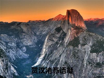 苏语凝贺汉渚（贺汉渚苏语凝最新全章节大结局）全文阅读