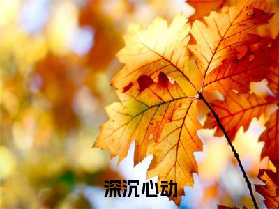 深沉心动老书虫书荒推荐热点小说-深沉心动许月卿迟尽全文免费阅读
