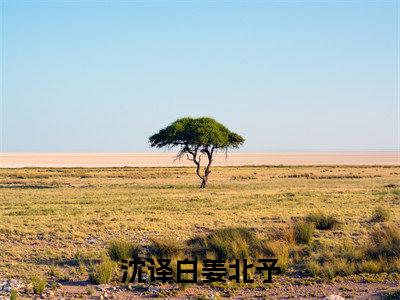 沈译白姜北予（姜北予沈译白）全文免费阅读无弹窗大结局_姜北予沈译白最新章节列表_笔趣阁