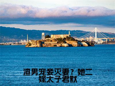 渣男宠妾灭妻？她二嫁太子君默小说全文免费阅读_（楚宁君默）渣男宠妾灭妻？她二嫁太子君默最新章节列表笔趣阁