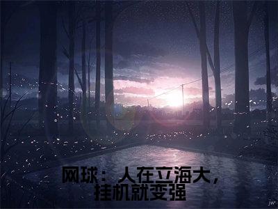网球：人在立海大，挂机就变强全文免费阅读_网球：人在立海大，挂机就变强（高桥彦一木村小郎免费阅读无弹窗）高桥彦一木村小郎最新章节列表笔趣阁