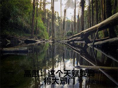 苏寒（高武：这个天赋变异得太邪门）全文小说免费阅读-苏寒最新章节列表_笔趣阁