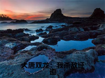 大唐双龙：我杀敌证道在线阅读（楚阳楚黎）全文无弹窗大结局_楚阳楚黎全文在线阅读无弹窗