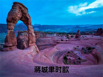 蒋城聿时歆全文免费阅读大结局蒋城聿时歆最新章节列表