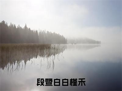 【全文】《段暨白白槿禾》小说txt在线阅读_（段暨白白槿禾全章节）-段暨白白槿禾_段暨白白槿禾在线阅读