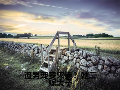 热文（渣男宠妾灭妻？她二嫁太子）美文阅读_热门小说渣男宠妾灭妻？她二嫁太子主人公是（楚宁君默）完整版最新小说大结局_笔趣阁