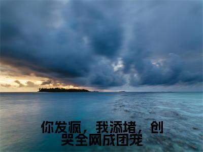 你发疯，我添堵，创哭全网成团宠小说（姜思尔）全文免费阅读_（你发疯，我添堵，创哭全网成团宠小说）姜思尔小说精彩在线赏析