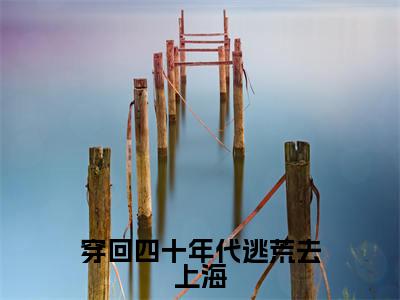 （番外）+（全文）穿回四十年代逃荒去上海（王丽）精彩小说-小说王丽全文无删减版免费阅读