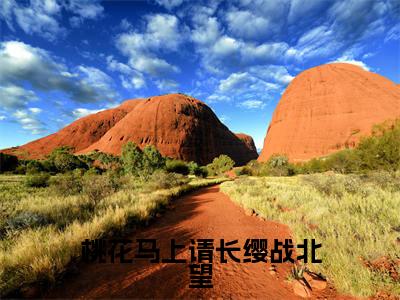 宋惜惜战北望（宋惜惜战北望）小说全文免费阅读正版无弹窗_桃花马上请长缨战北望小说免费阅读全文无弹窗_笔趣阁