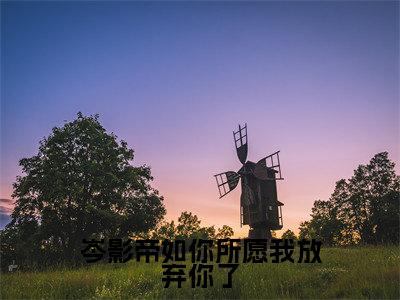 岑影帝如你所愿我放弃你了全文免费阅读无弹窗大结局_（穆霓岑衍皓）岑影帝如你所愿我放弃你了免费阅读无弹窗最新章节列表_笔趣阁