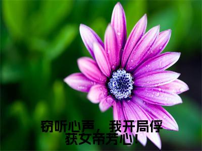 窃听心声，我开局俘获女帝芳心！小说（叶寒）全文免费读无弹窗大结局_（叶寒小说免费窃听心声，我开局俘获女帝芳心！阅读）