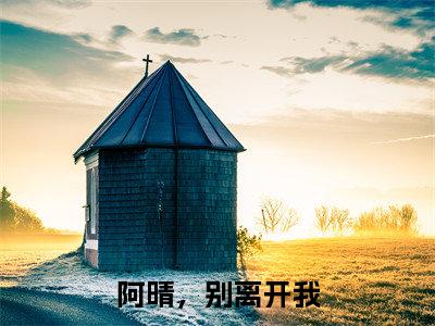 季寒泓程念晴小说全文-阿晴，别离开我精选小说季寒泓程念晴大结局阅读