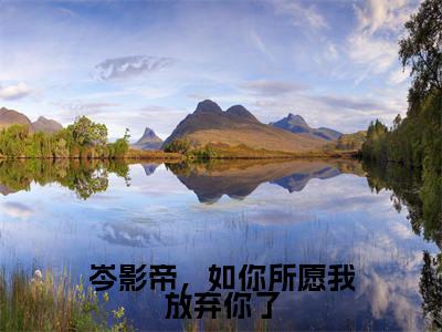 岑影帝，如你所愿我放弃你了（岑衍皓穆霓）全文免费阅读大结局_岑影帝，如你所愿我放弃你了全文在线完本阅读