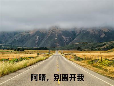 阿晴，别离开我全文小说（季寒泓程念晴）在线阅读无弹窗大结局_季寒泓程念晴全文在线阅读无弹窗