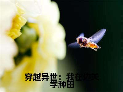 梁勇（穿越异世：我在边关学种田）免费阅读无弹窗大结局-穿越异世：我在边关学种田完整版最新阅读