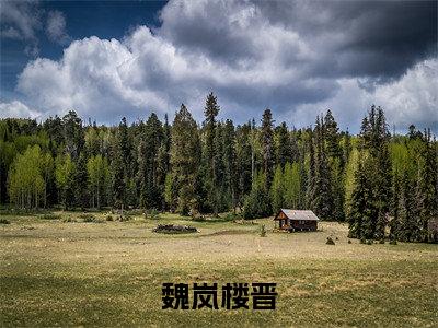 魏岚楼晋小说全文免费阅读无弹窗大结局_（魏岚楼晋免费阅读无弹窗）最新章节列表_笔趣阁