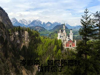 穆霓岑衍皓（岑影帝，如你所愿我放弃你了）小说免费在线阅读_穆霓岑衍皓全本免费小说阅读大结局（岑影帝，如你所愿我放弃你了）