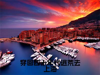 王丽（穿回四十年代逃荒去上海）小说全文无删减版在线阅读_穿回四十年代逃荒去上海（王丽无弹窗）_笔趣阁