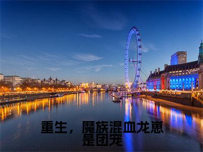 重生，魔族混血龙崽是团宠小说（墨善安）全文免费阅读无弹窗_（墨善安）重生，魔族混血龙崽是团宠最新章节列表