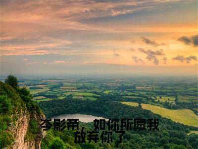 岑影帝，如你所愿我放弃你了（穆霓岑衍皓）免费阅读最新章节无弹窗穆霓岑衍皓完整版小说在线阅读