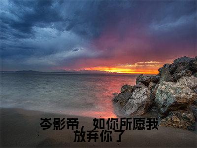 岑影帝，如你所愿我放弃你了热门推荐小说（岑衍皓穆霓）精彩章节阅读-岑影帝，如你所愿我放弃你了全文免费在线阅读_笔趣阁