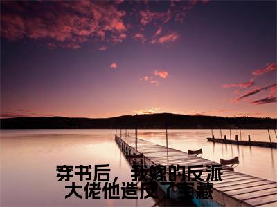 穿书后，我嫁的反派大佬他造反了宝藏全文免费阅读全文免费阅读无弹窗大结局_吕颂梨秦晟全文免费阅读