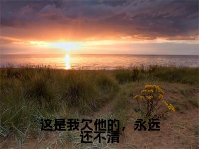 秦南星周凛小说全文（这是我欠他的，永远还不清）全文免费阅读无弹窗大结局_这是我欠他的，永远还不清小说免费最新章节列表