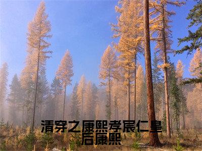 清穿之康熙孝宸仁皇后康熙完颜绾绾康熙全文完整版-完颜绾绾康熙小说在线阅读