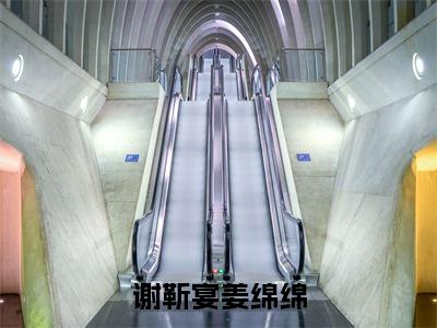 谢靳宴姜绵绵阅读无弹窗大结局_（姜绵绵谢靳宴阅读无弹窗）最新章节列表_笔趣阁