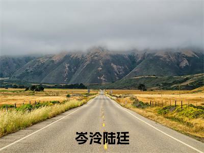 岑泠陆廷全文免费阅读-岑泠陆廷最新章节小说免费阅读