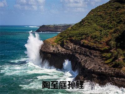 陶至庭孙鲤孙鲤陶至庭免费阅读大结局无弹窗-陶至庭孙鲤小说推荐孙鲤陶至庭精彩章节在线阅读