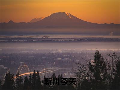 靳川岑芙岑芙靳川全文免费阅读_靳川岑芙无弹窗最新章节