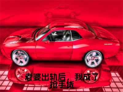 （免费）+（结局）老婆出轨后，我成了抢手货美文欣赏完整版，陈雨婷王宇精彩章节在线阅读